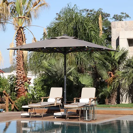 Bella Sombra ゴルトゥルブク